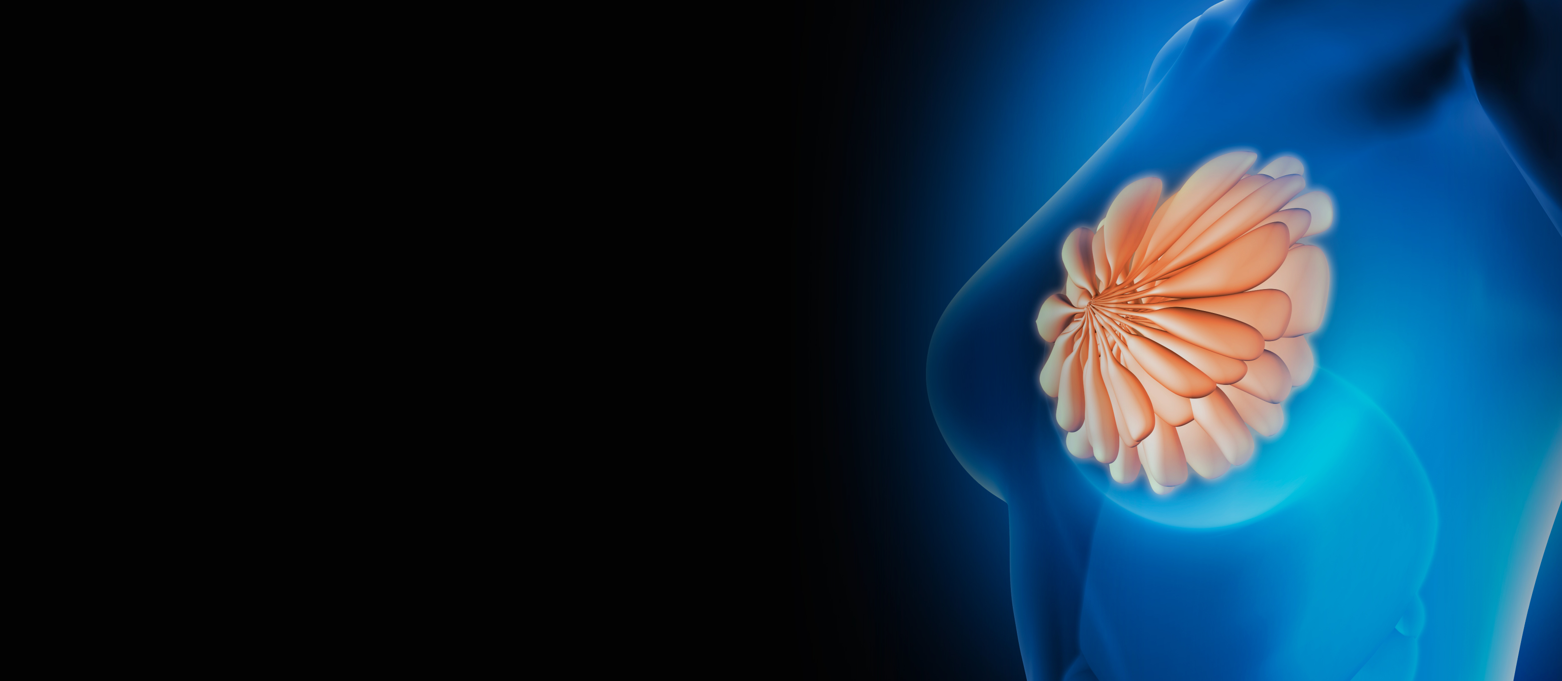 HOME-����5-������Ϸ����������ġ�